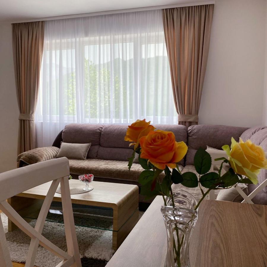 Apartment Varezic Plužine Extérieur photo