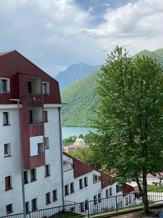 Apartment Varezic Plužine Extérieur photo